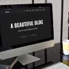 RibTun WordPress Blog Theme For Writers 1.2破解版主题