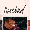 Rosebud Flower Shop and Florist WordPress Theme 1.5破解版主题