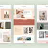Sarah Premium WordPress Theme 4.6破解版主题