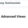 Strong Testimonials Advanced Views 1.3.6破解版插件