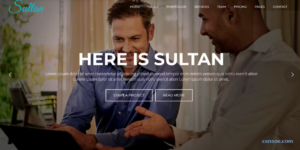 Sultan – One Page Business WordPress Theme 2.1 GPL Theme