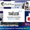 TAELED Business Consulting 1.2破解版主题