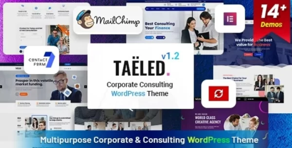 TAELED Business Consulting 1.2 GPL Theme