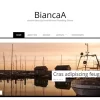 Theme Junkie – BiancaA 1.0.6破解版主题