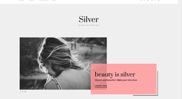 Theme Junkie – Silver 1.0.2 GPL Theme