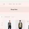 Theme Junkie – Ultrastore 1.0.0破解版主题