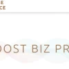 Theme Palace Boost Biz Pro 1.0.2破解版主题