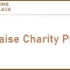 Theme Palace Raise Charity Pro 1.0.0破解版主题