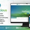 Travelicious Tour Operator Theme 1.5.5破解版主题