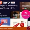Tryo Banking Money Transfer Currency Exchange WordPress Theme 3.4破解版主题