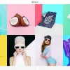 VicHax Designer Portfolio WordPress Theme 1.0.0破解版主题