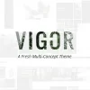 Vigor – Vintage WordPress Theme 3.3破解版主题