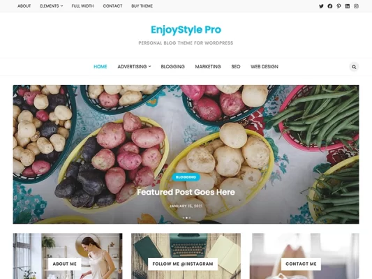 WP Enjoy EnjoyStyle Pro 1.0.1 GPL Theme