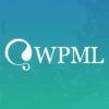 WPML Translation Analytics 1.0.7破解版插件