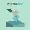 WPMU DEV Post Voting 2.2.5 GPL Plugins