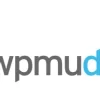 WPMU DEV Pro Sites 3.6.1破解版插件