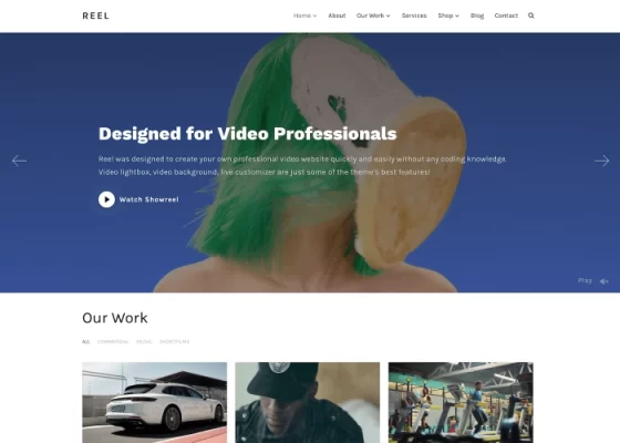 WPZOOM Reel 3.0.7 GPL Theme