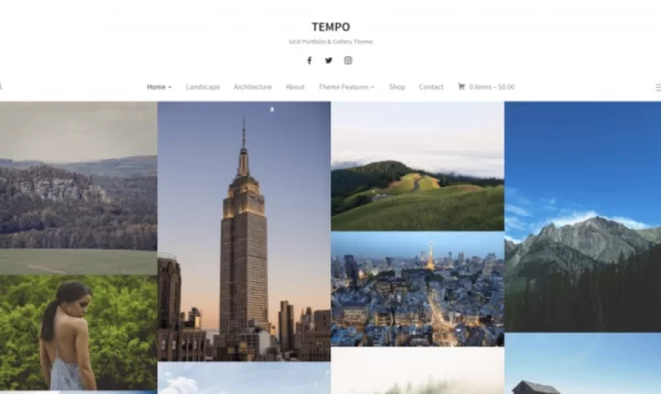 WPZOOM – Tempo 1.0.11 GPL Theme