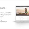 Wellspring Health Lifestyle Wellness Theme 2.6破解版主题