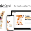 Welsh Corgi Dog Breeding and Sale WordPress Theme 1.0.13破解版主题