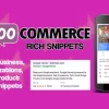 WooCommerce SEO Local Business Rich Snippets 2.4.4破解版插件