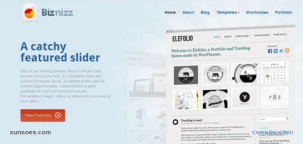 WooThemes Biznizz Premium Theme 1.6.9 GPL Theme