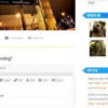 WooThemes Crisp Premium Theme 1.2.0破解版主题