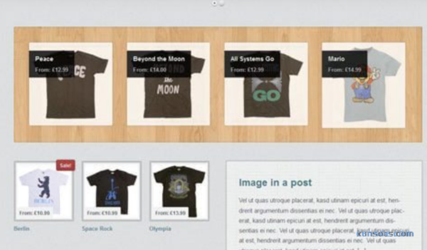 WooThemes Emporium Premium Theme 1.9.3 GPL Theme