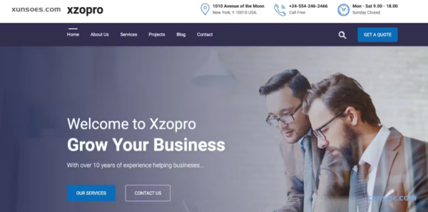 Xzopro – Finance And Business WordPress Theme 1.1.5 GPL Theme