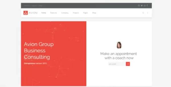 YOOTHEME AVION WORDPRESS THEME 1.0.5 GPL Theme
