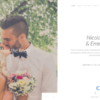 YOOTHEME NIC EM WORDPRESS THEME 1.0.5破解版主题
