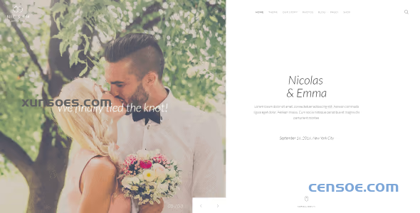 YOOTHEME NIC EM WORDPRESS THEME 1.0.5 GPL Theme