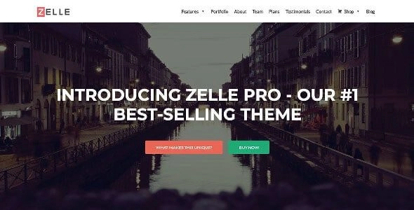 Zelle Pro (Zerif Pro) 2.1.6 GPL Theme