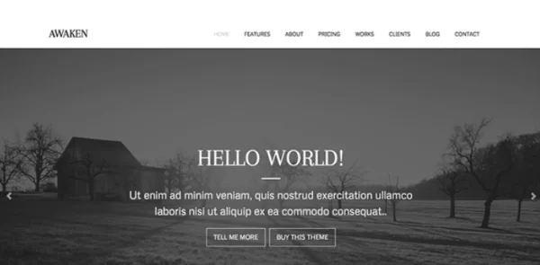 ZigZagPress Awaken 1.2.6 GPL Theme