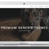 ZigZagPress Dune WordPress Theme 1.2破解版主题