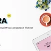 Zyra 1.3.1破解版主题