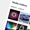 rtMedia Pro 4.6.7破解版插件
