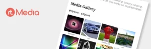 rtMedia Pro 4.6.7 GPL Plugins